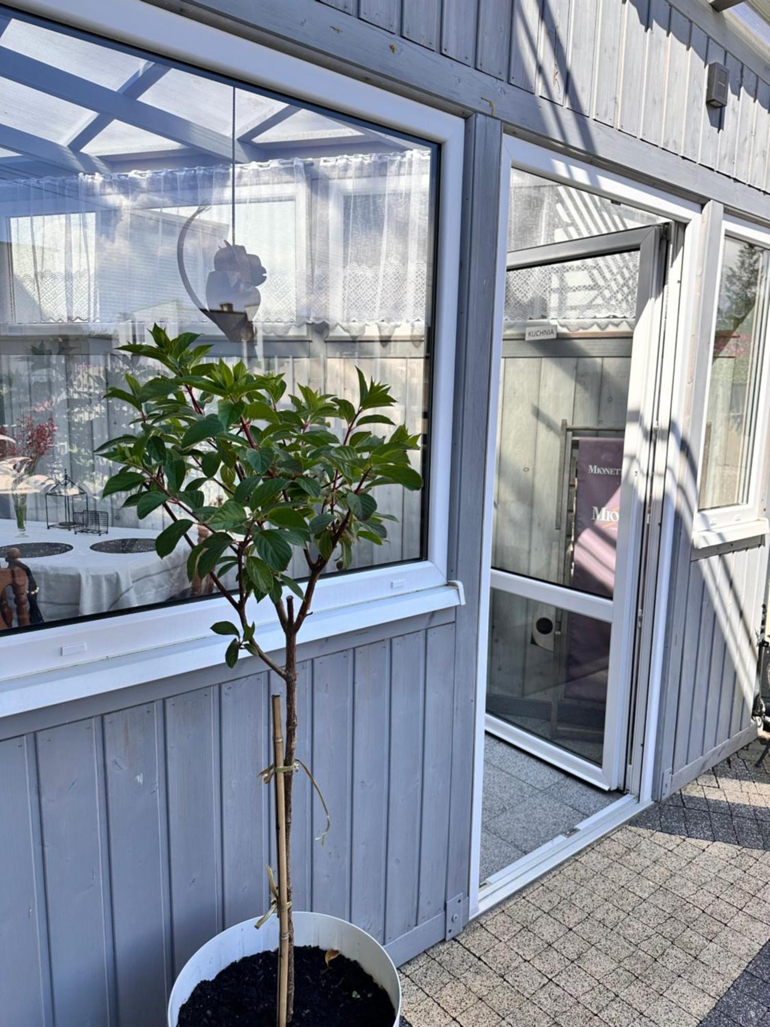 Apartment Przy Latarni